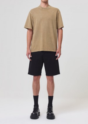 Agolde Asha Mock Neck Tee Wheat | ERN190723